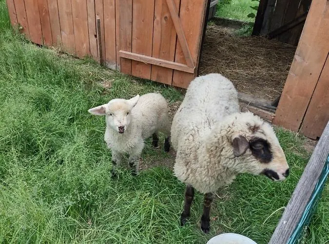 Idylla Casa de Férias *