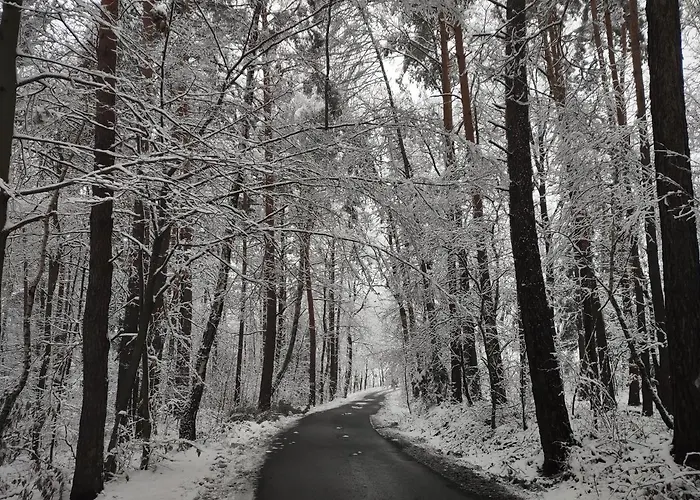 Idylla Casa de Férias Polom Maly