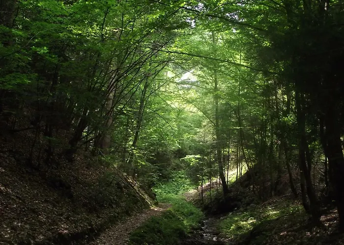 Idylla Casa de Férias Polom Maly