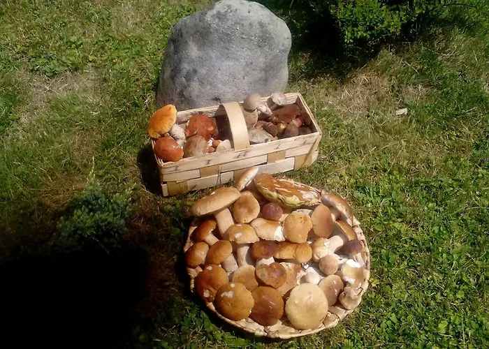 Idylla Casa de Férias *